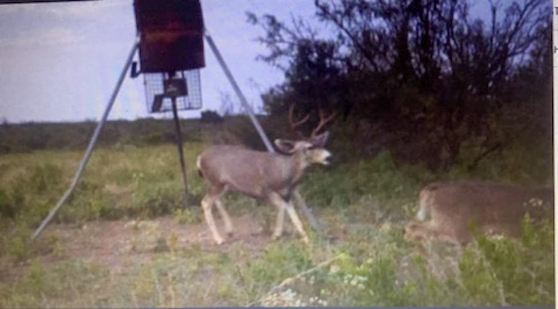 172.9 acres in Terrell County - photo 40