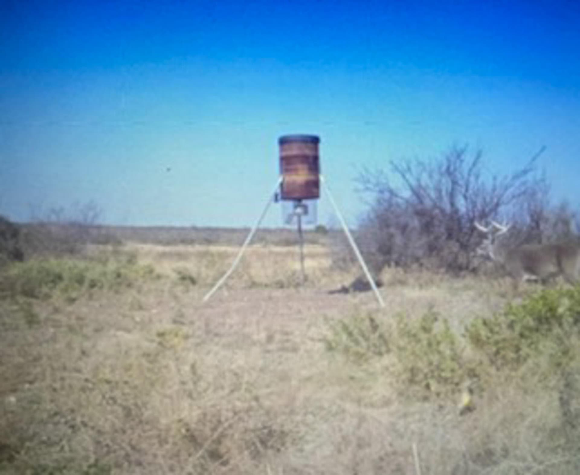 172.9 acres in Terrell County - photo 43