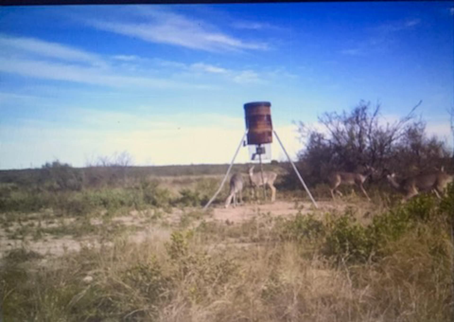 172.9 acres in Terrell County - photo 42