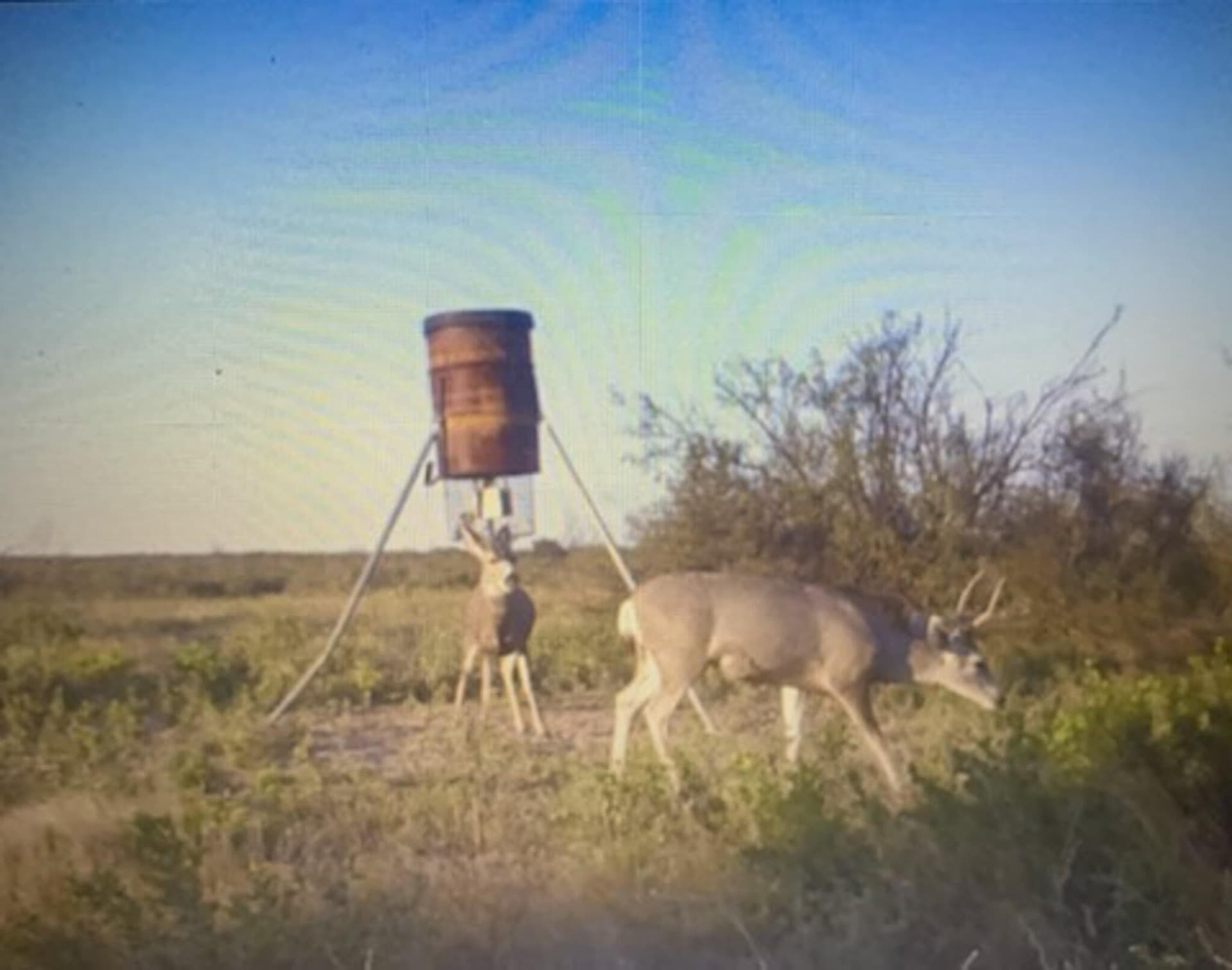 172.9 acres in Terrell County - photo 41