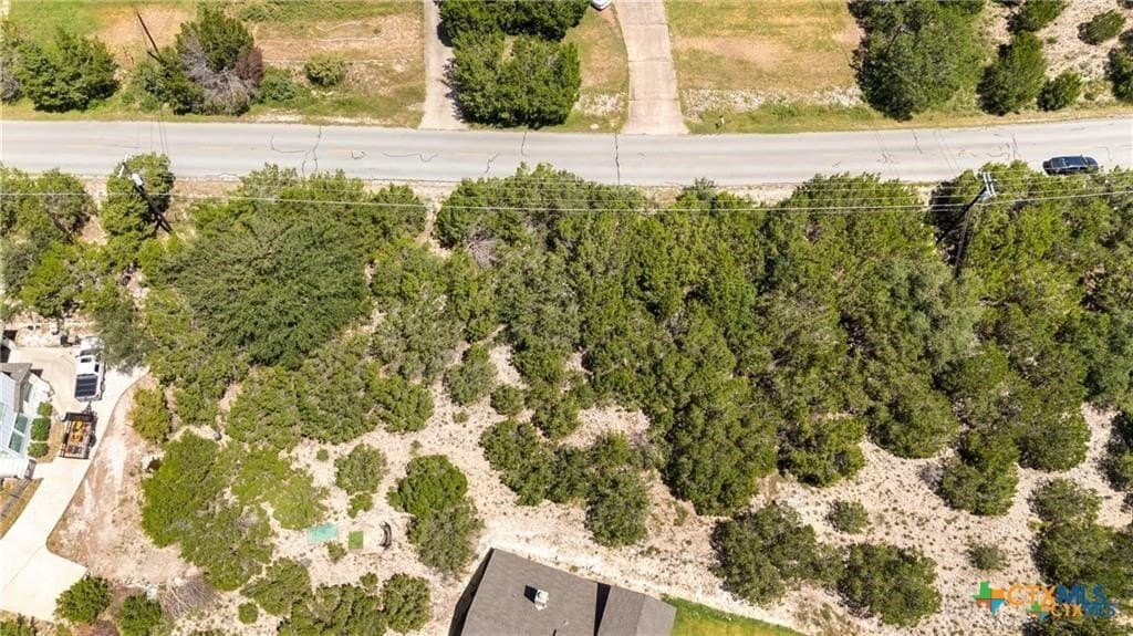 0.35 acres in Travis County - photo 8