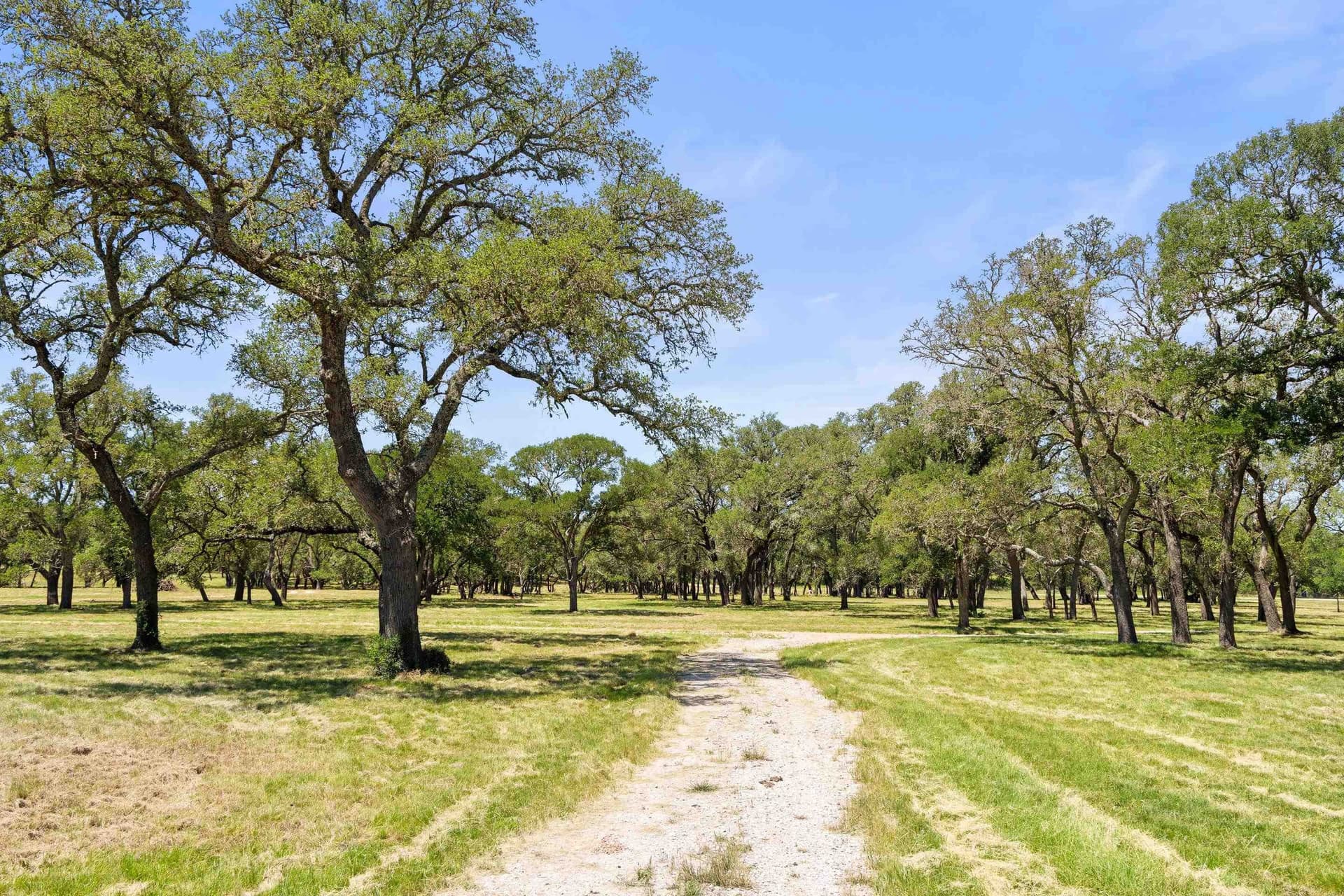 27 acres in Blanco County - photo 11