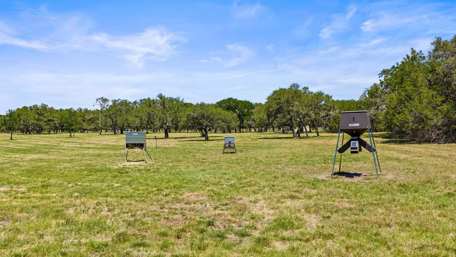 27 acres in Blanco County - photo 23