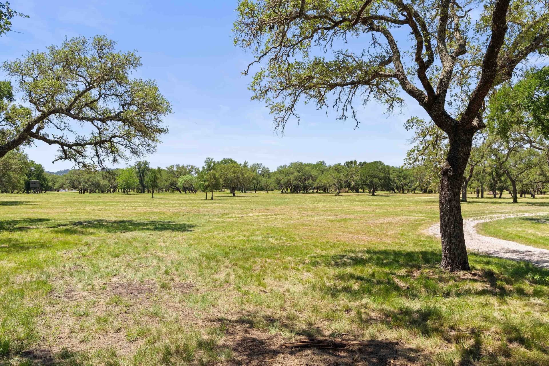 27 acres in Blanco County - photo 10