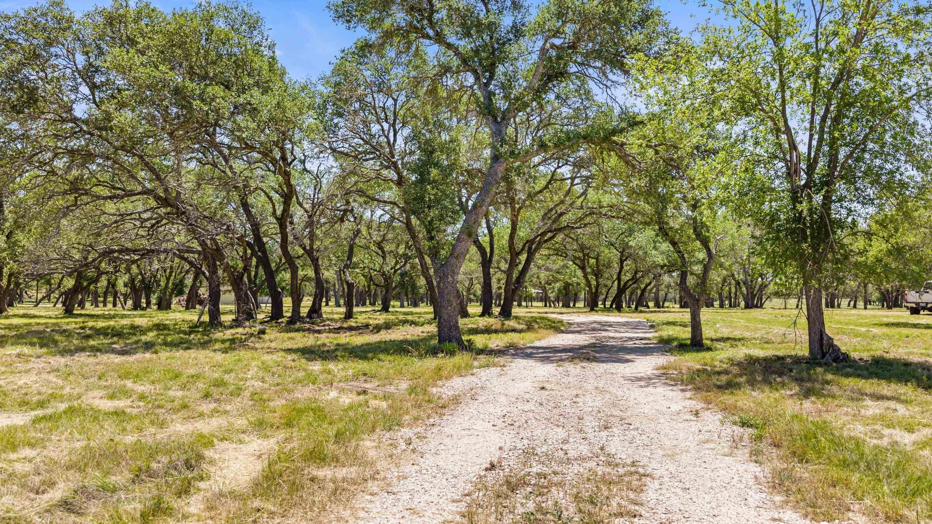 27 acres in Blanco County - photo 21