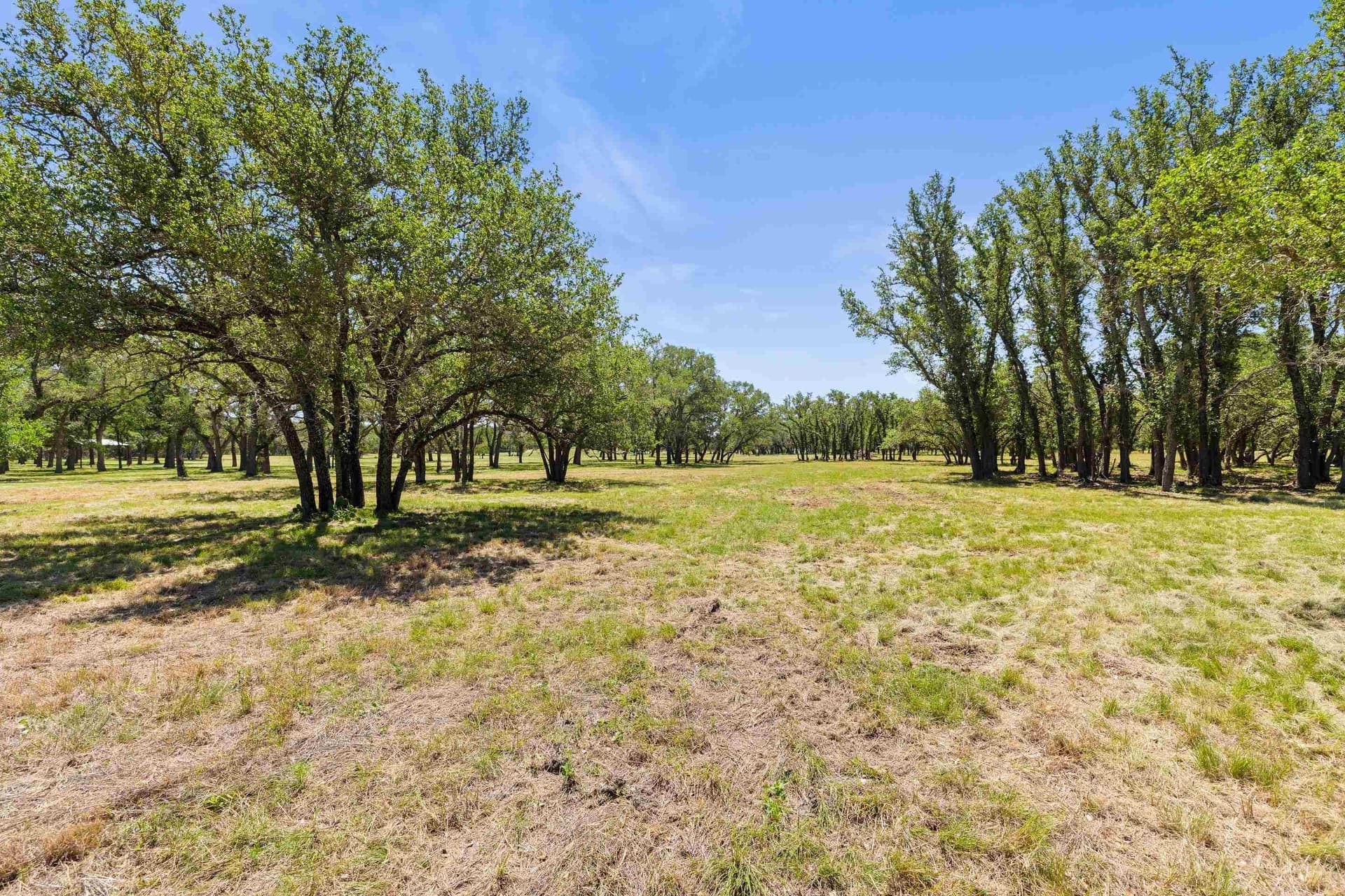27 acres in Blanco County gallery image 4