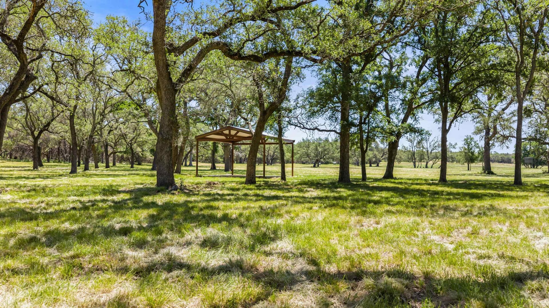 27 acres in Blanco County - photo 22