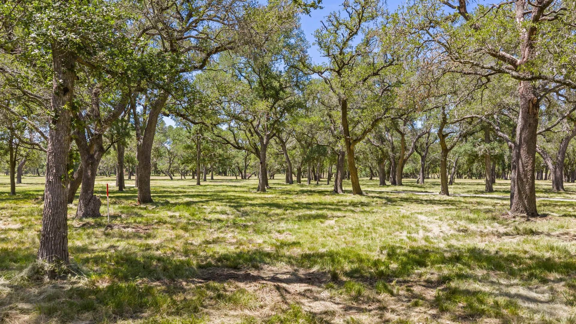 27 acres in Blanco County - photo 19
