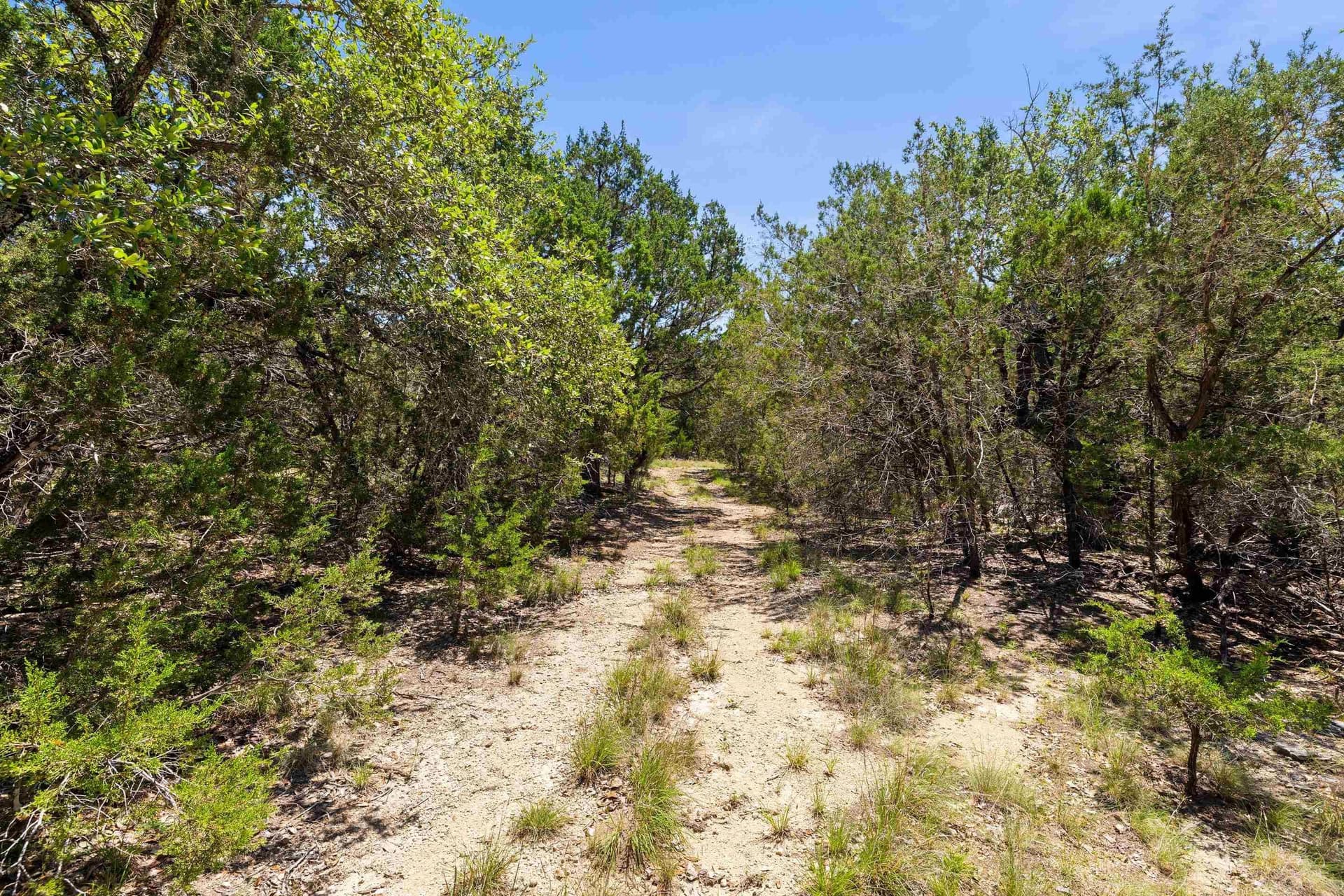 27 acres in Blanco County featured view