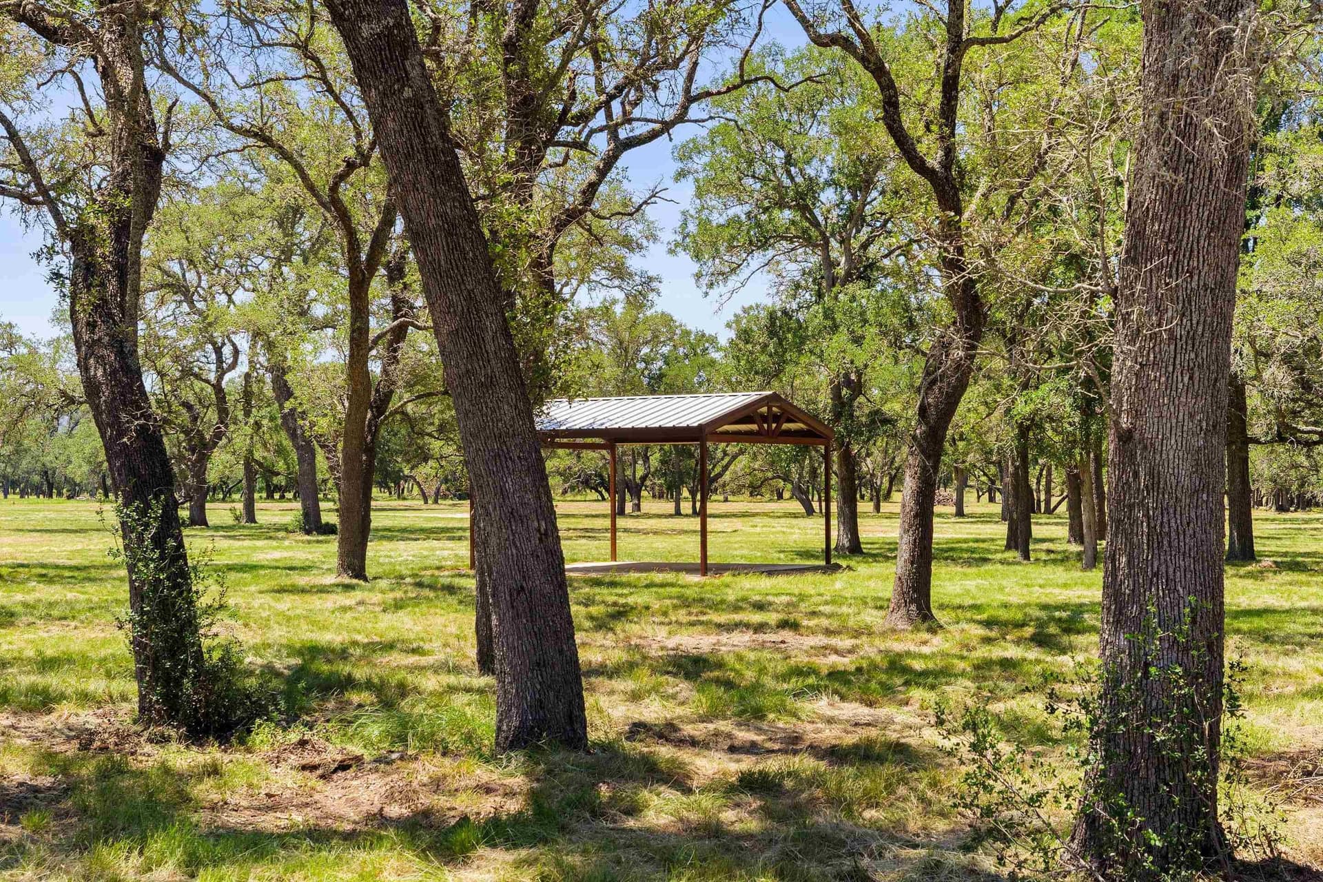 27 acres in Blanco County - photo 6