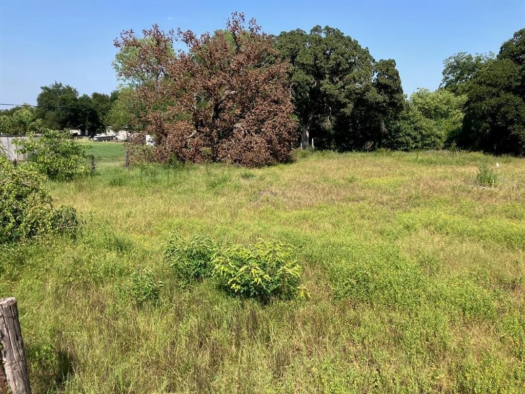 0.52 acres in Comanche County gallery image 4