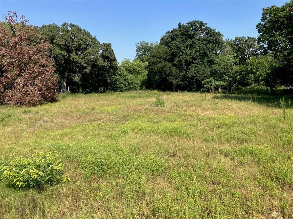 0.52 acres in Comanche County gallery image 3