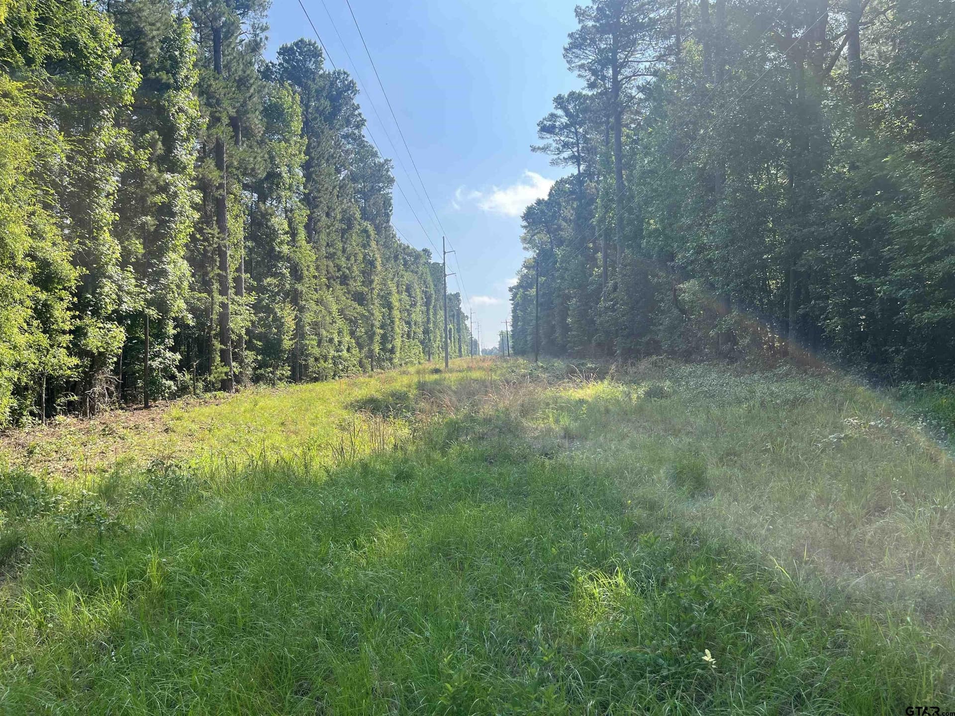 155.42 acres in Smith County gallery image 3
