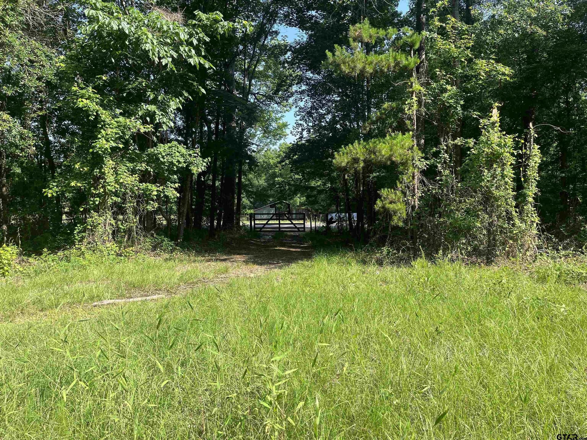 155.42 acres in Smith County gallery image 2