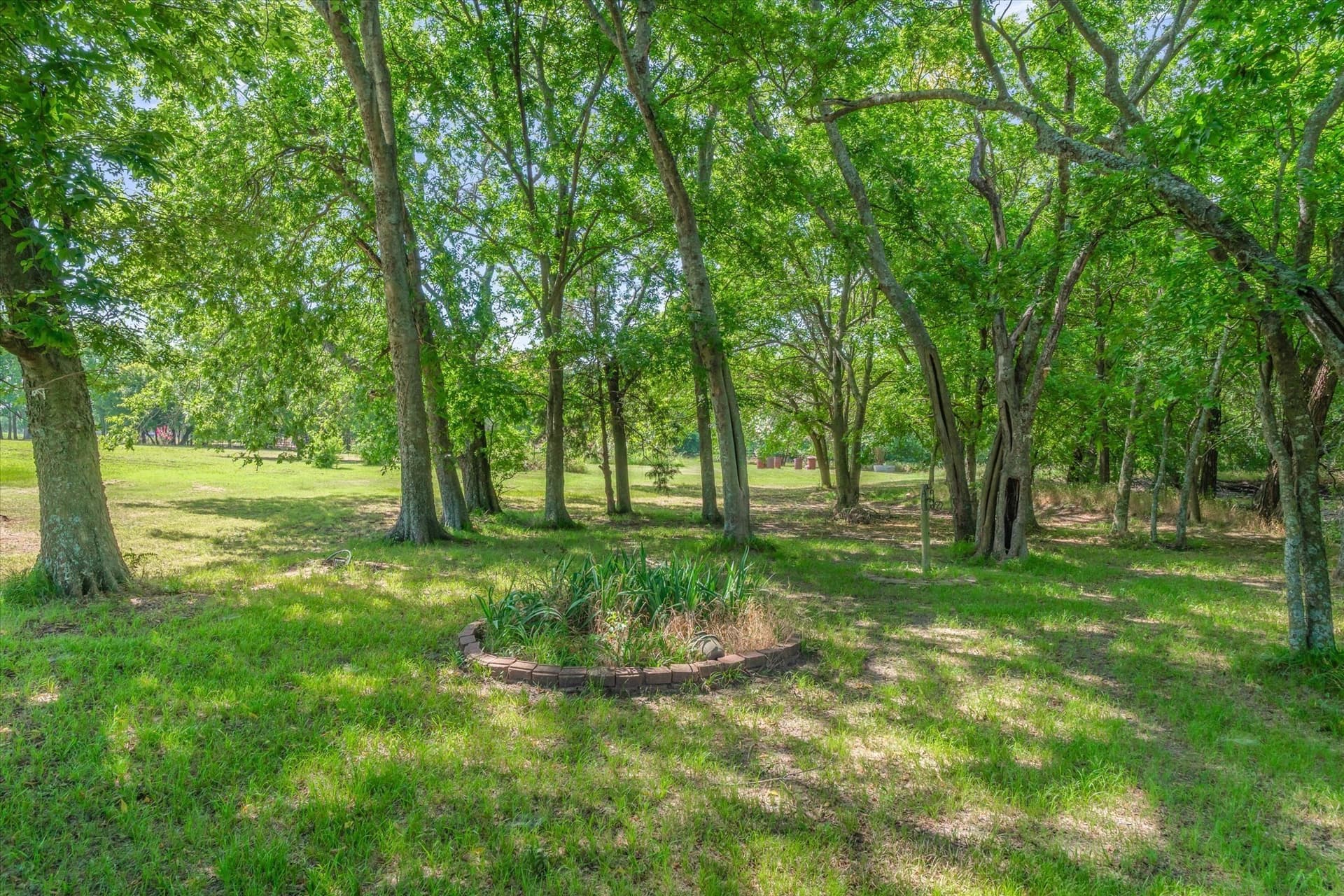 22.85 acres in Rockwall County - photo 13