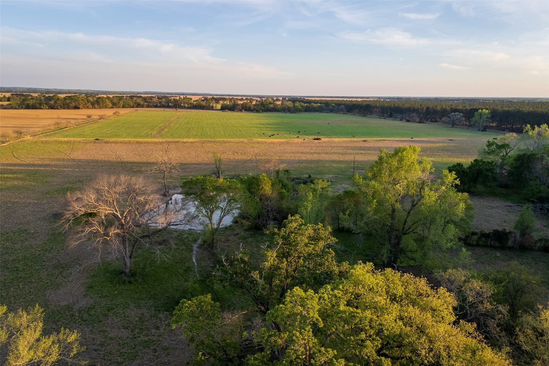 80 acres in Anderson County - photo 18