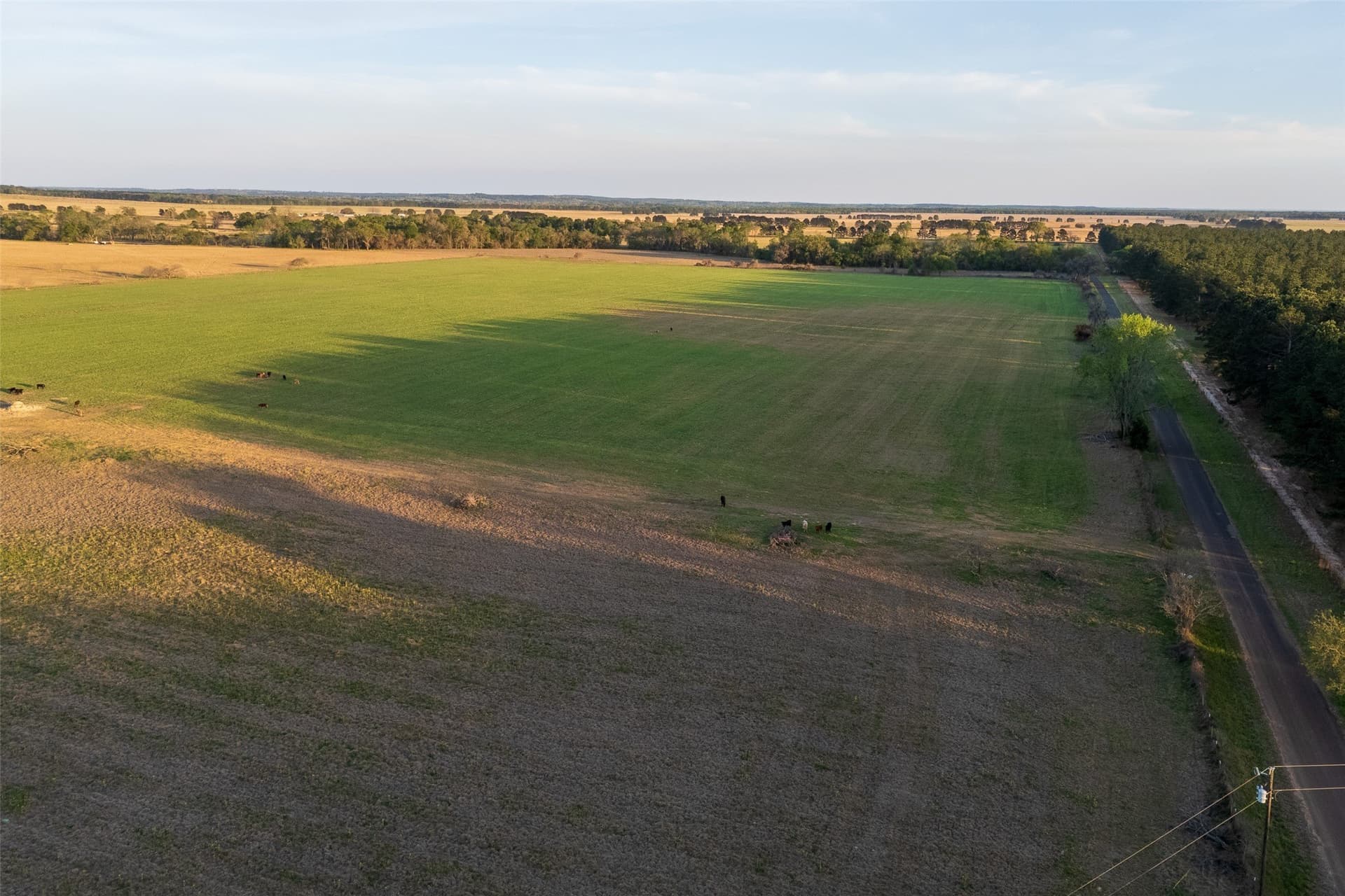 80 acres in Anderson County - photo 12