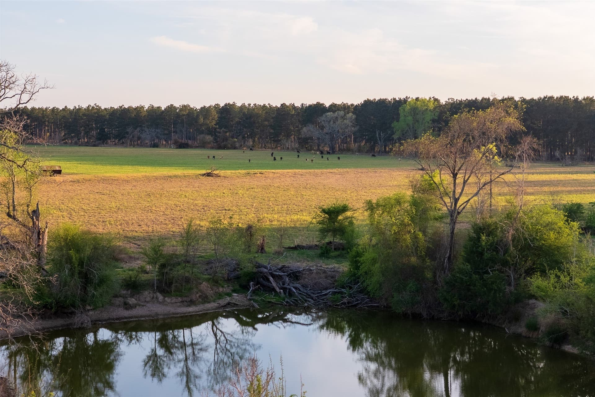 80 acres in Anderson County - photo 4