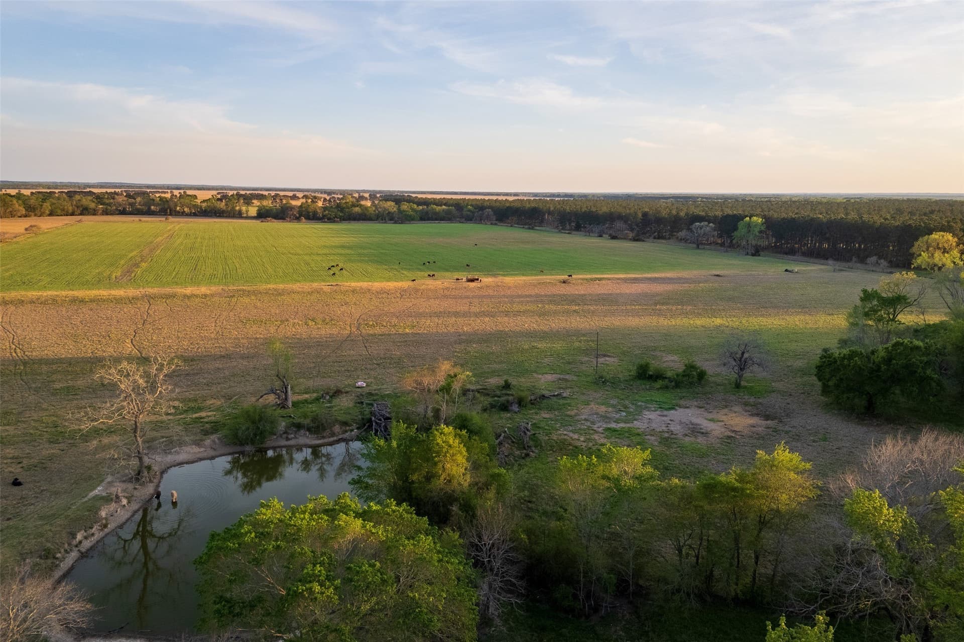 80 acres in Anderson County - photo 19