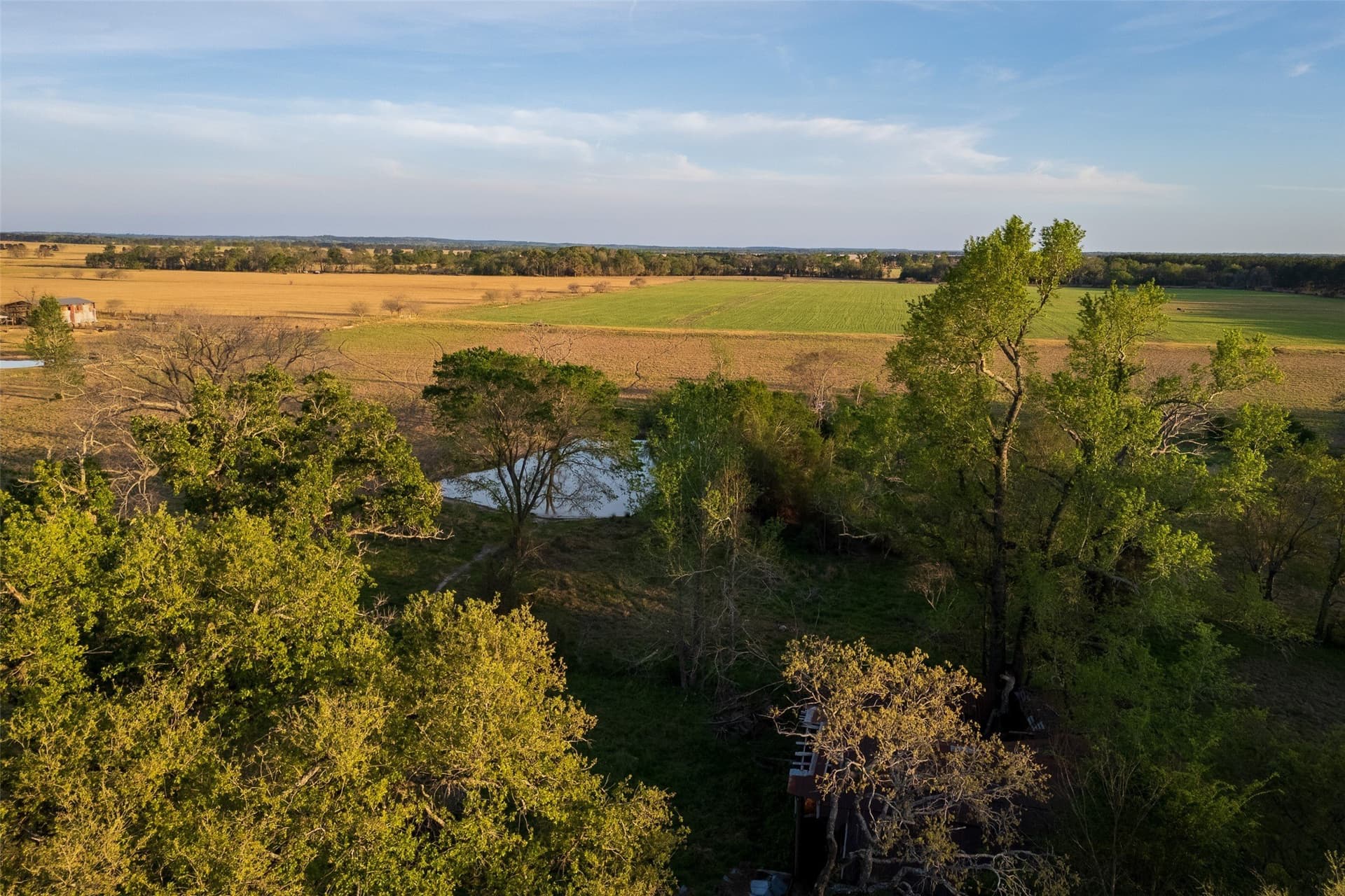 80 acres in Anderson County - photo 2