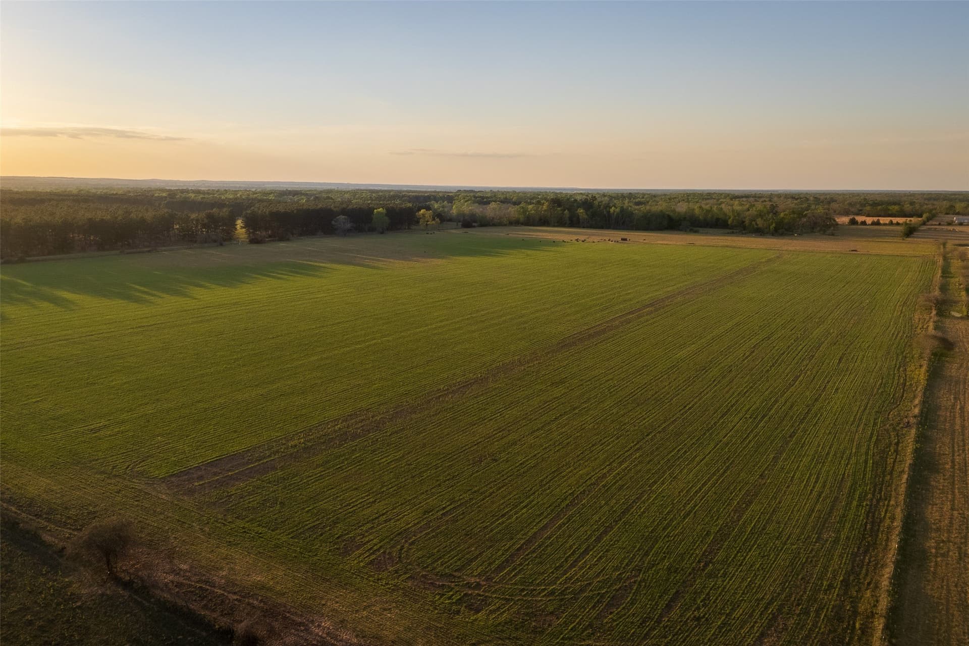 80 acres in Anderson County - photo 9