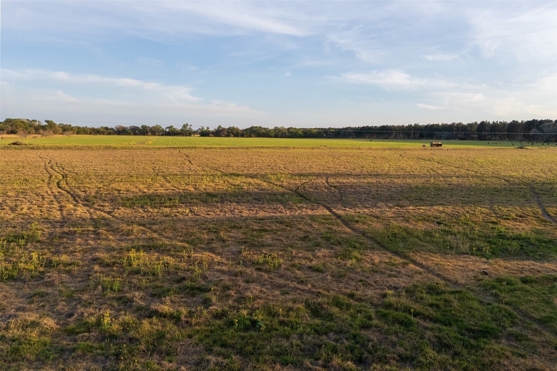 80 acres in Anderson County - photo 6