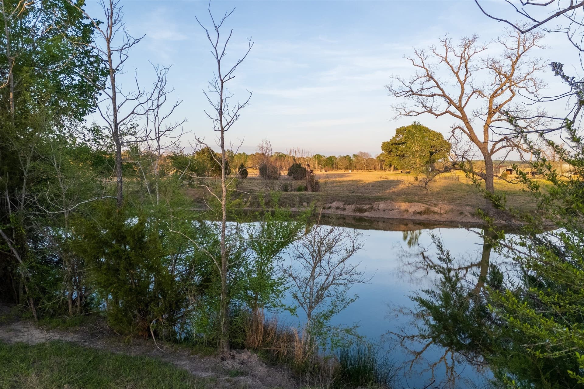 80 acres in Anderson County - photo 15