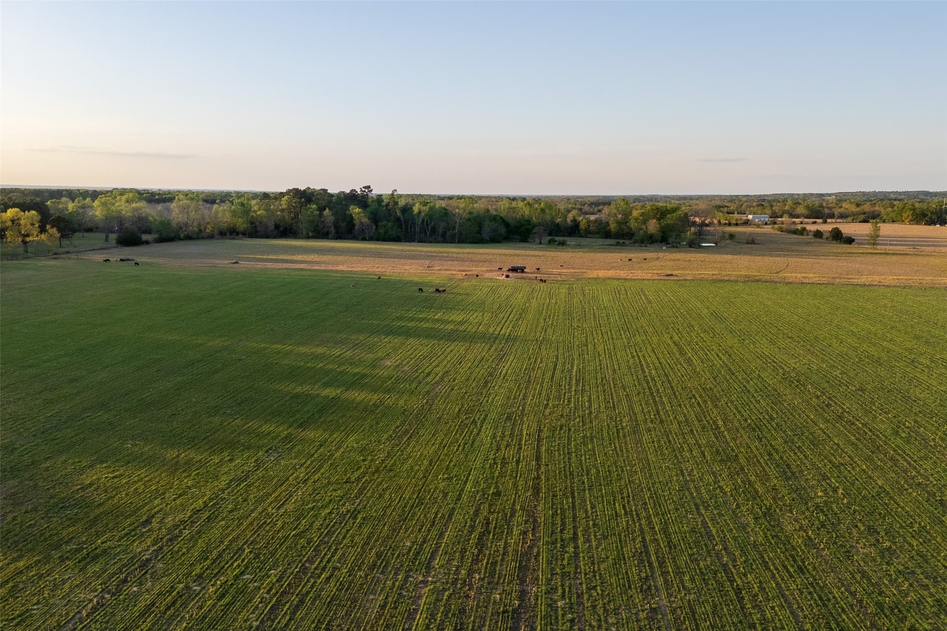80 acres in Anderson County - photo 10