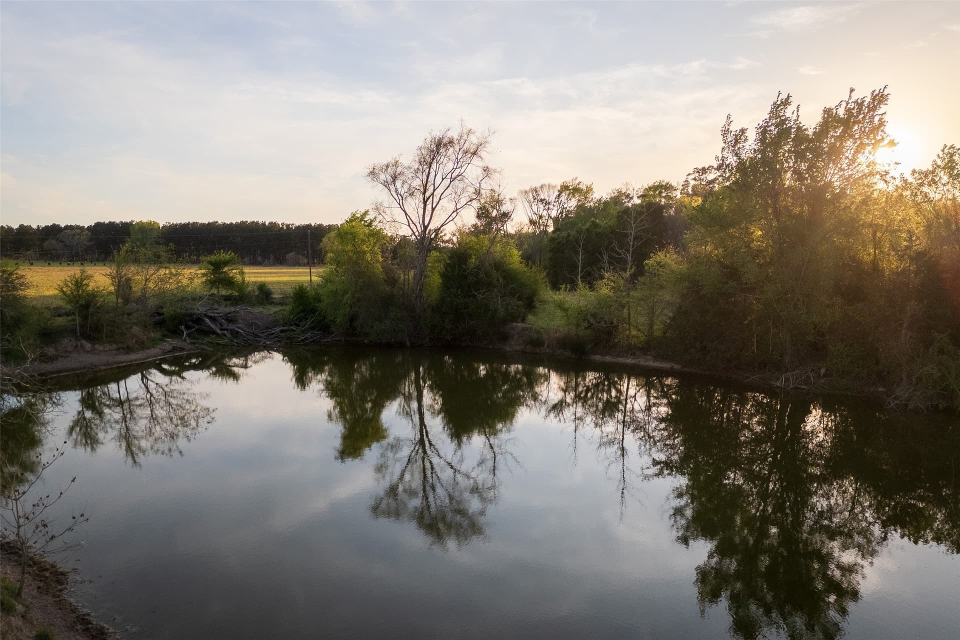 80 acres in Anderson County - photo 5