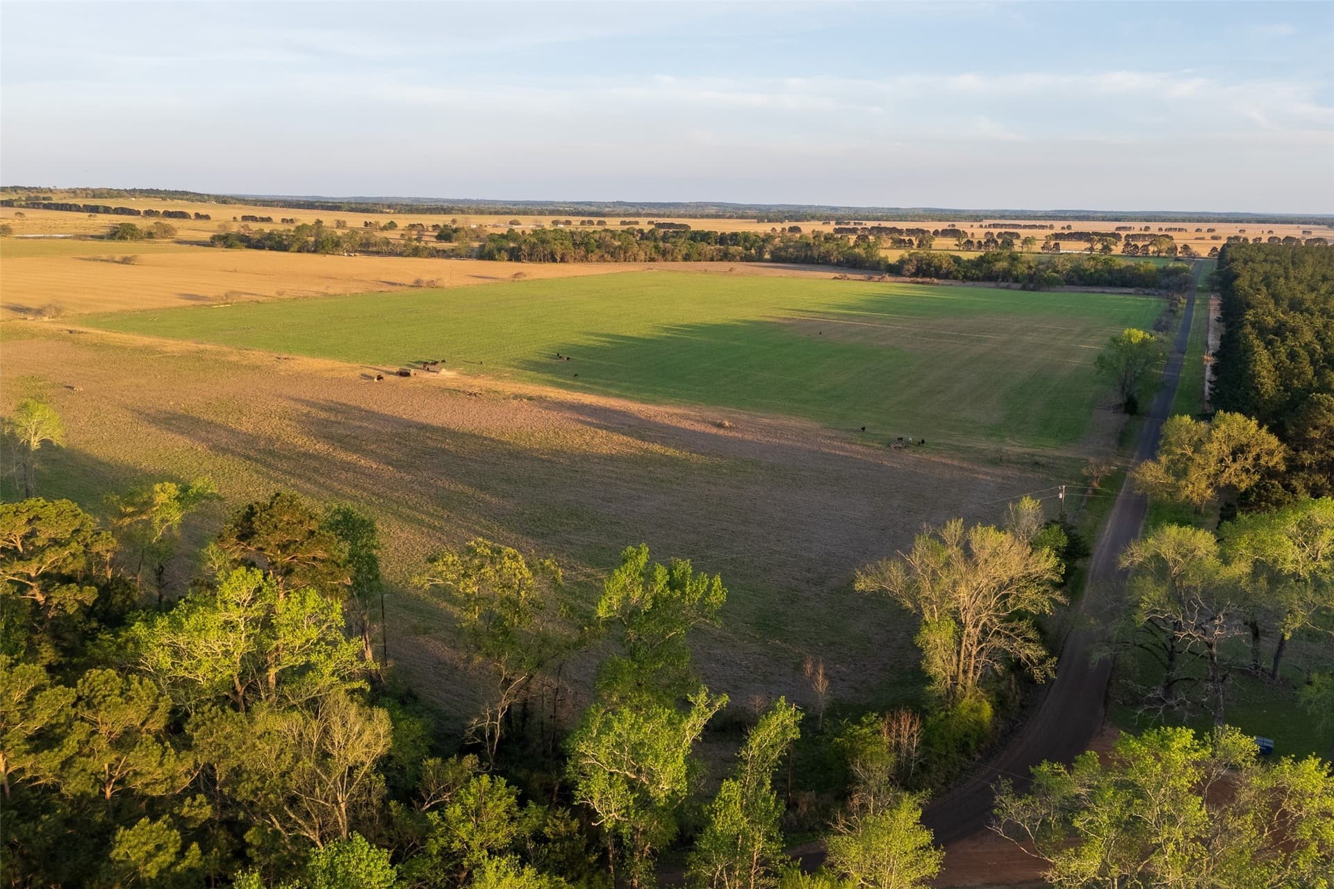 80 acres in Anderson County - photo 13