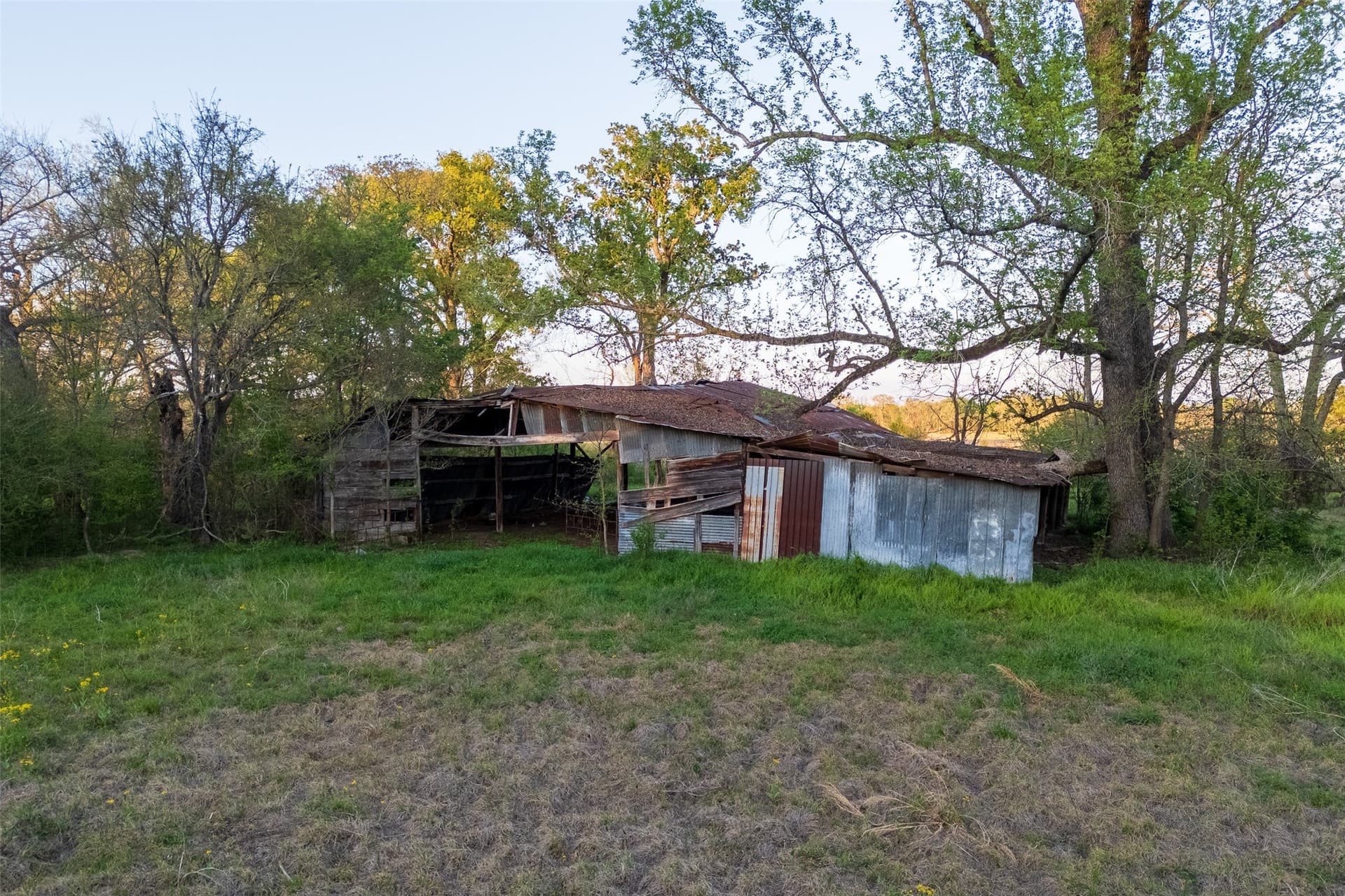 80 acres in Anderson County - photo 16
