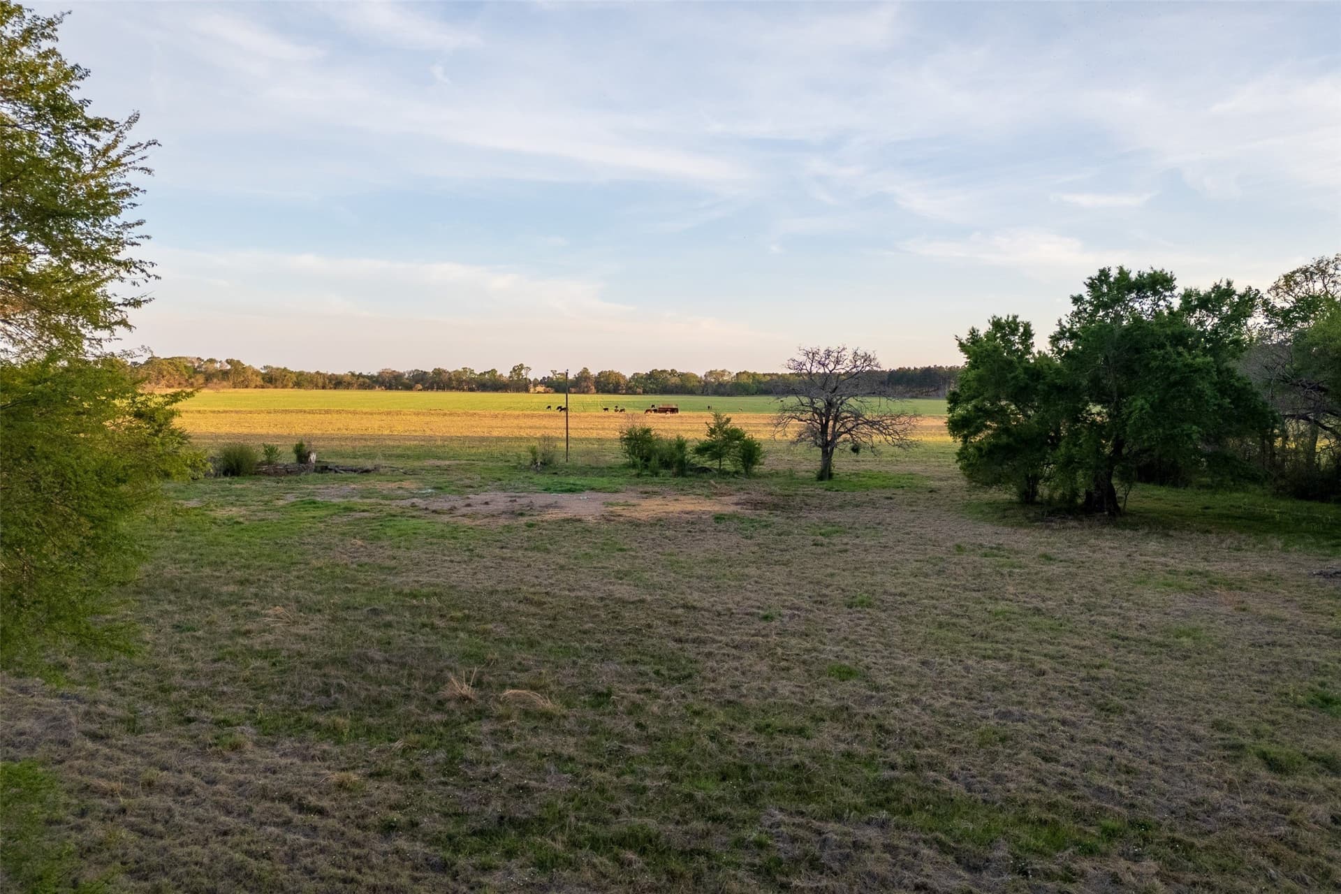 80 acres in Anderson County - photo 17