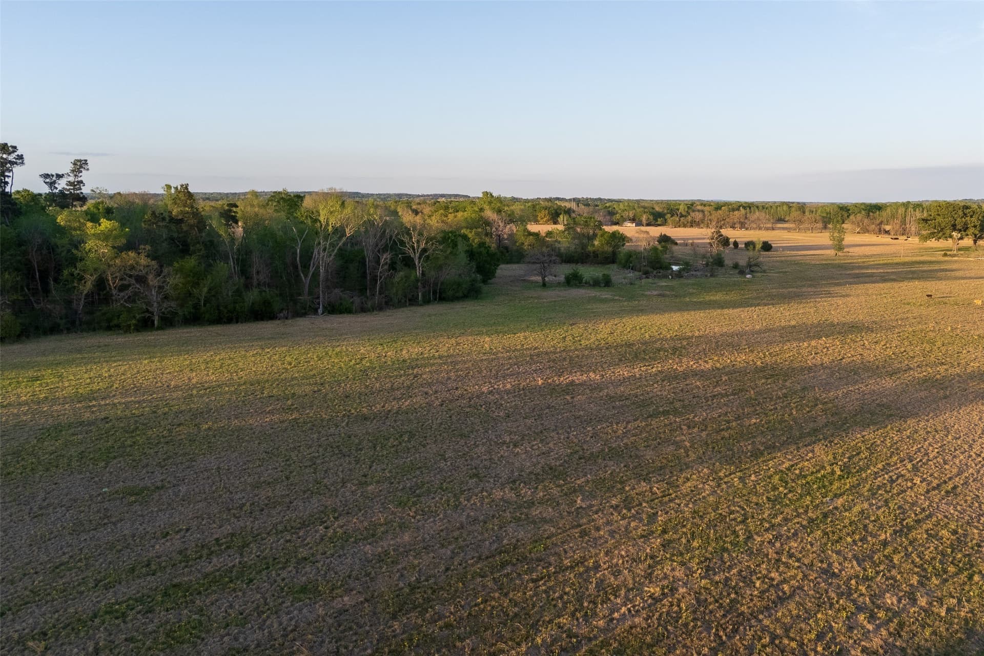 80 acres in Anderson County - photo 11