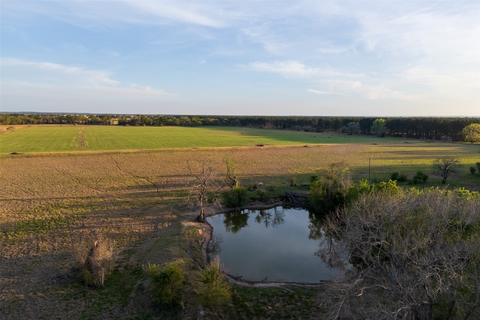 80 acres in Anderson County - photo 3