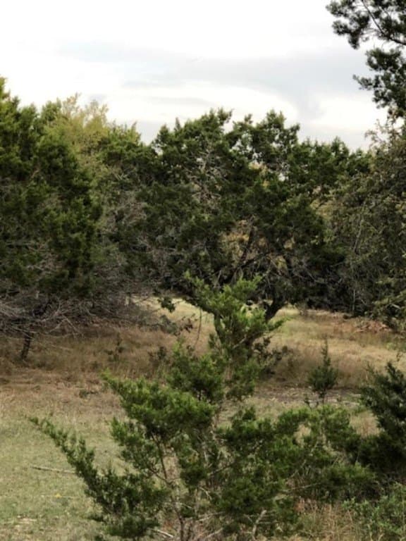 7,800 acres in Real County featured view