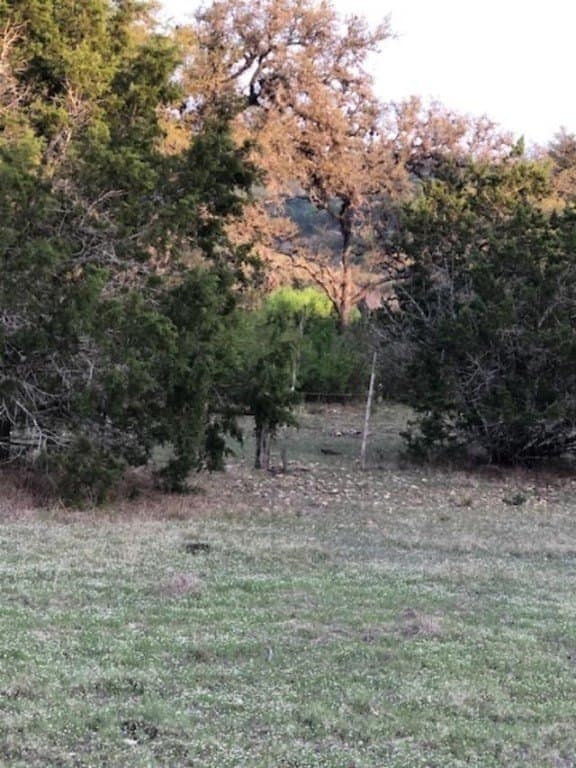 7,800 acres in Real County gallery image 4