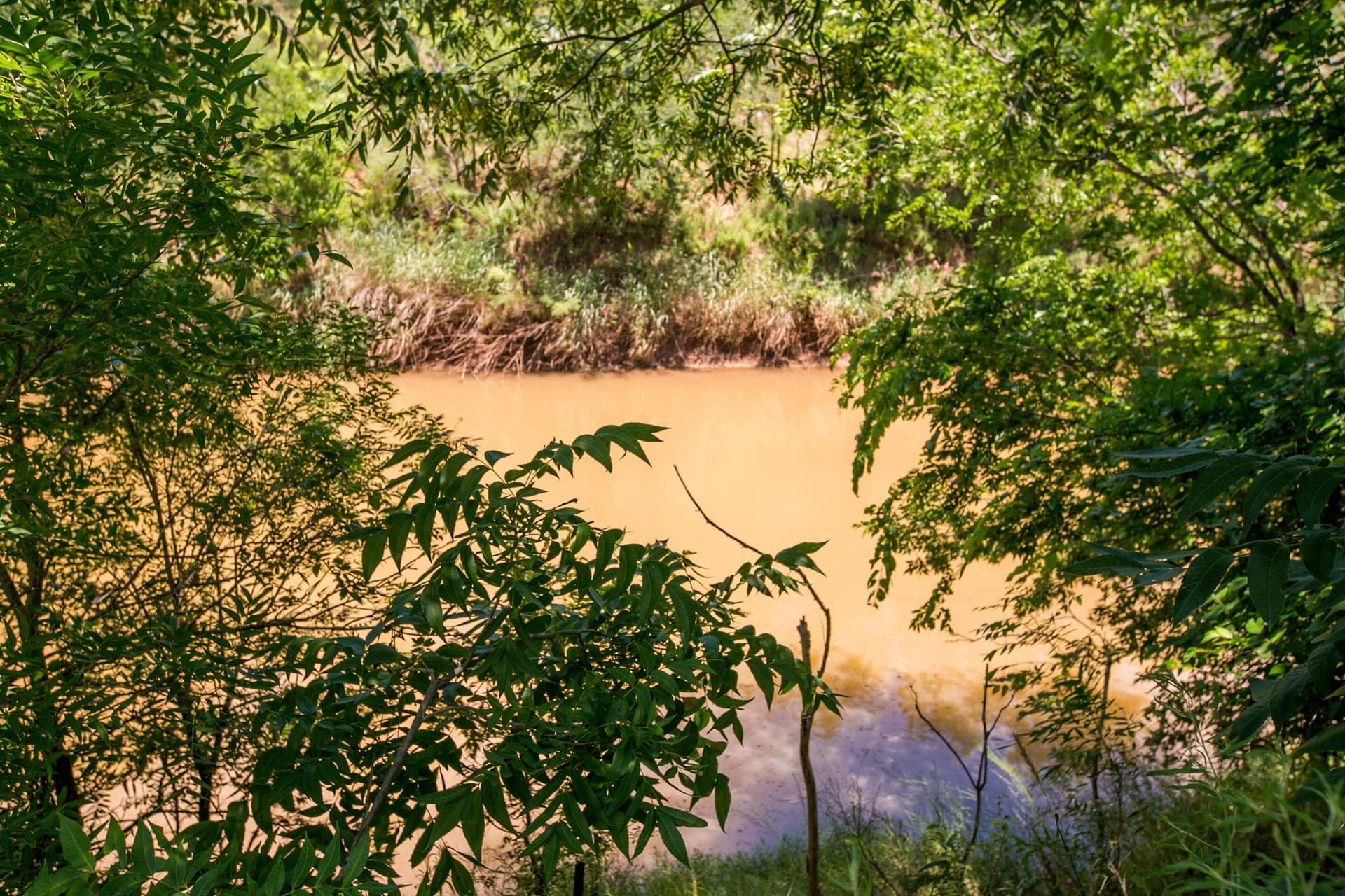 20 acres in Runnels County - photo 32