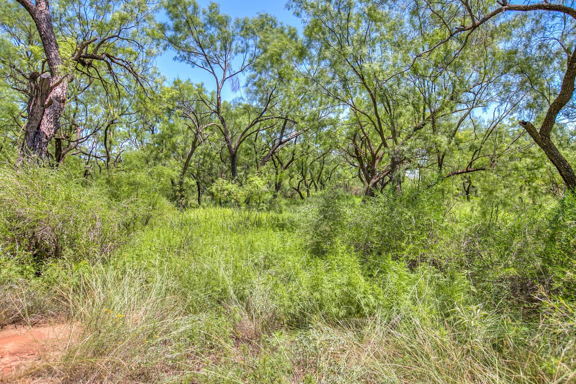 20 acres in Runnels County - photo 38