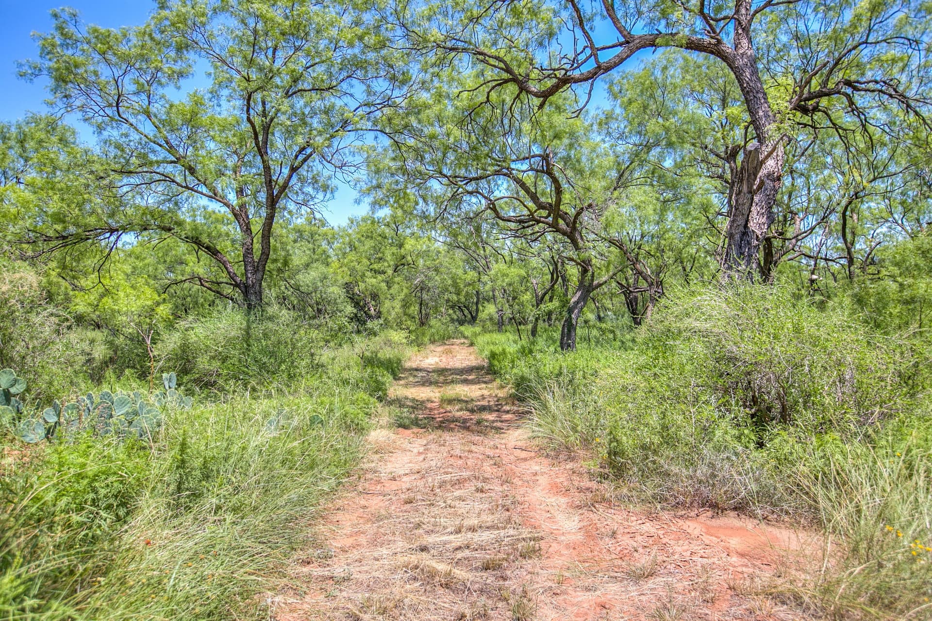 20 acres in Runnels County - photo 39