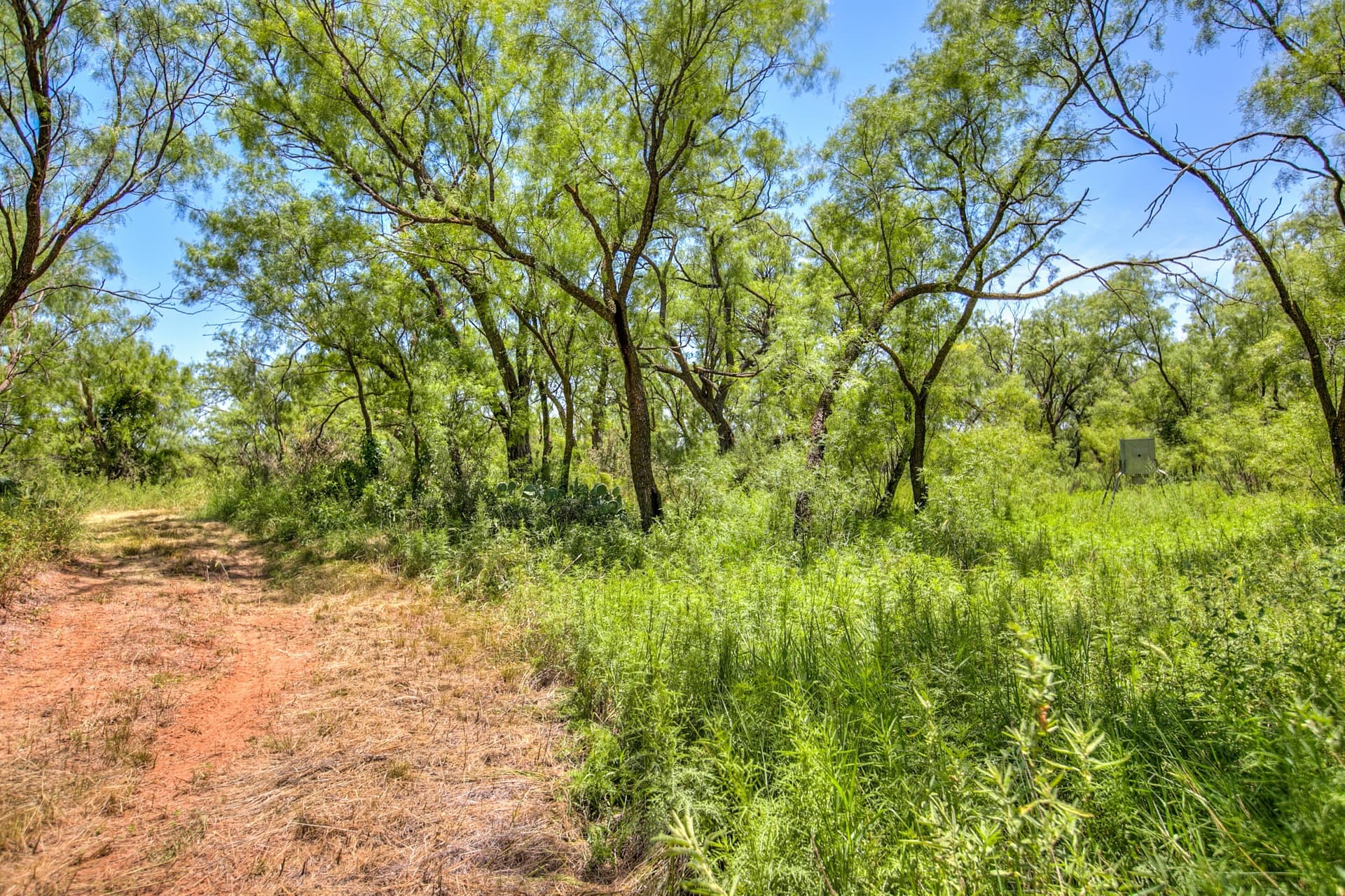 20 acres in Runnels County - photo 41
