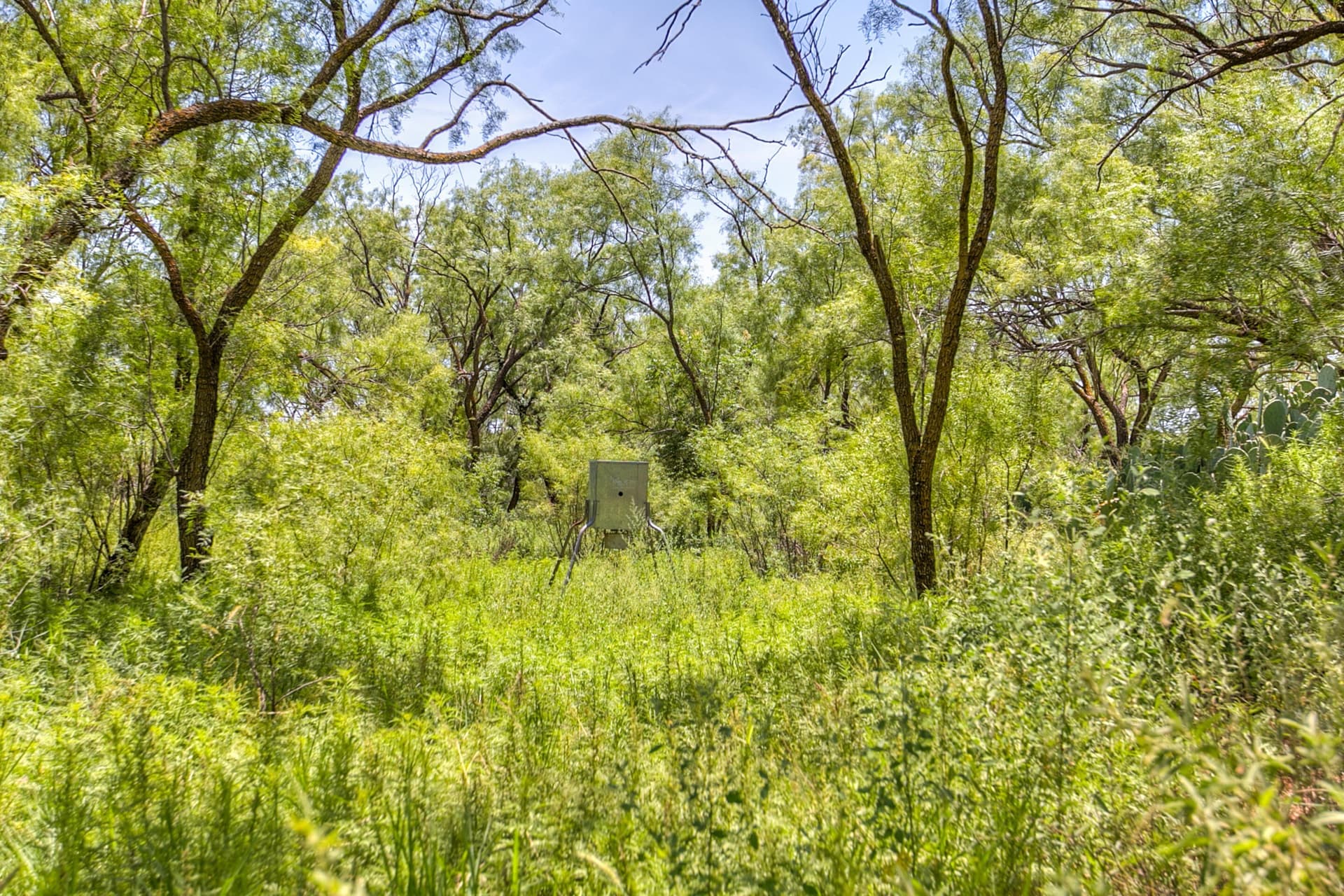 20 acres in Runnels County - photo 44