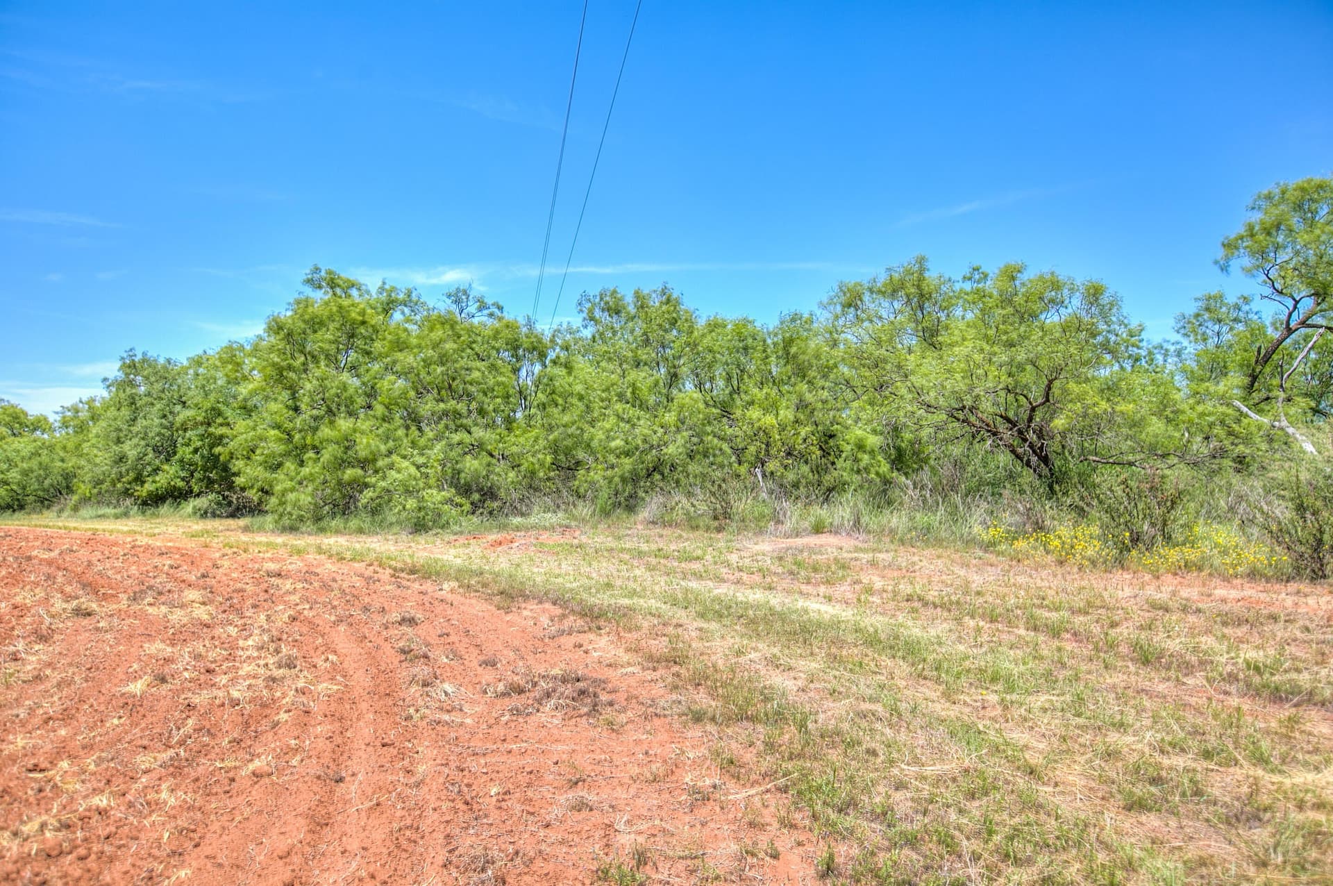 20 acres in Runnels County - photo 46