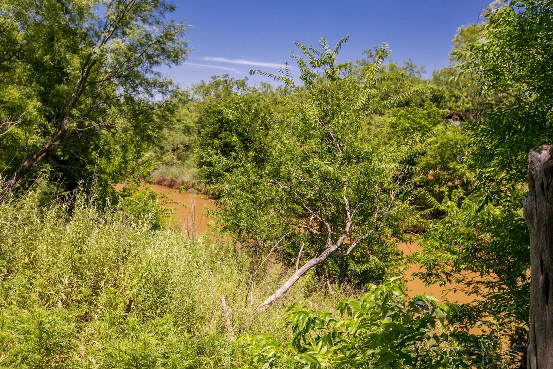 20 acres in Runnels County - photo 45