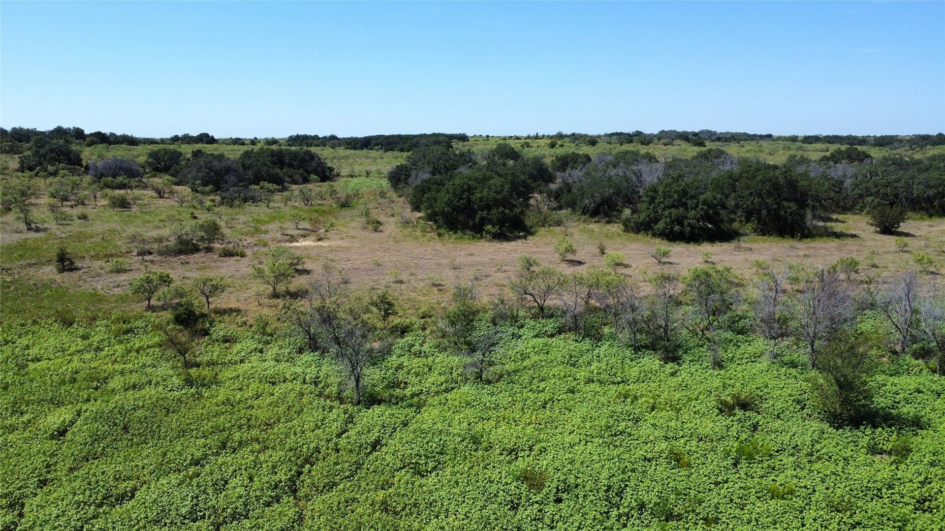 250 acres in Comanche County - photo 16