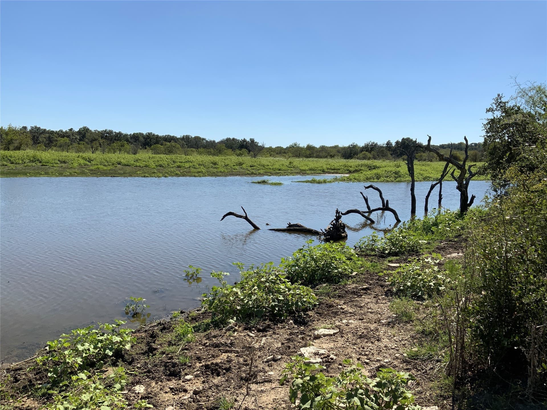 250 acres in Comanche County - photo 20