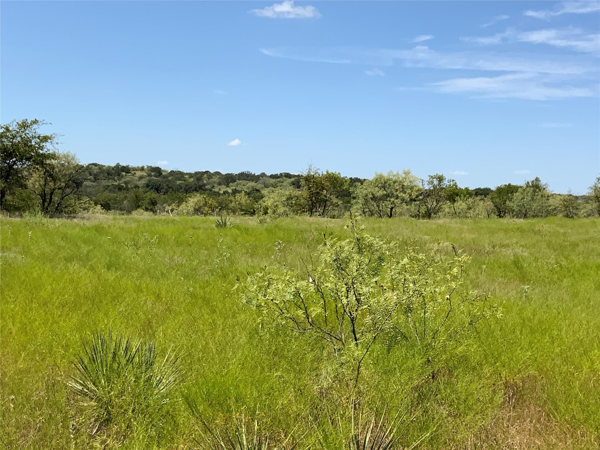 250 acres in Comanche County - photo 12