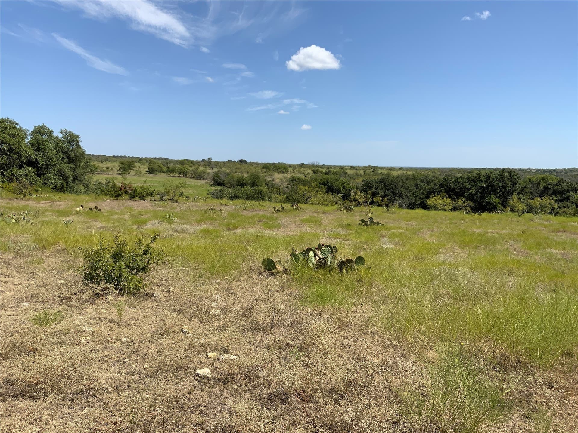 250 acres in Comanche County - photo 11