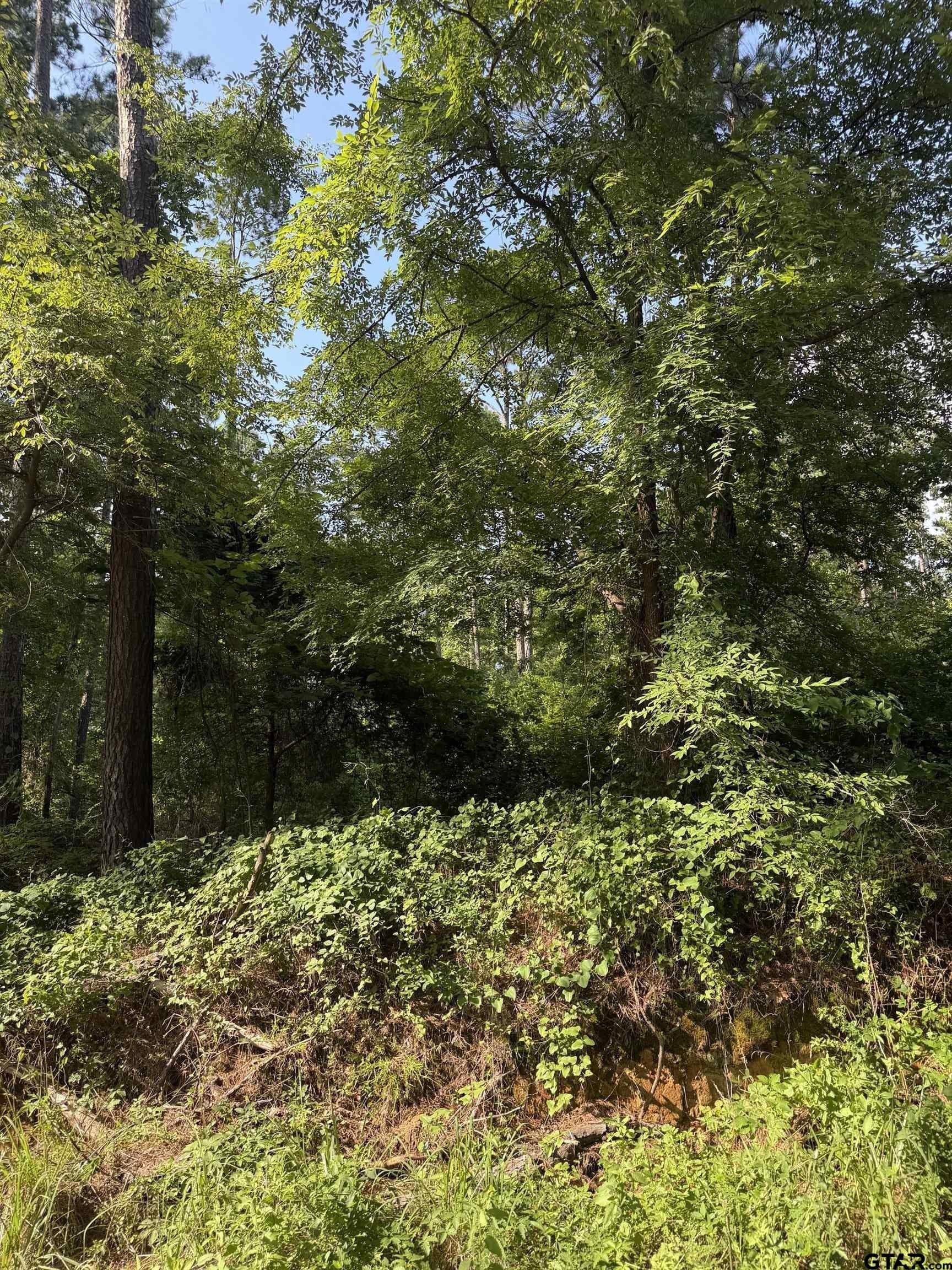 0.27 acres in Smith County featured view
