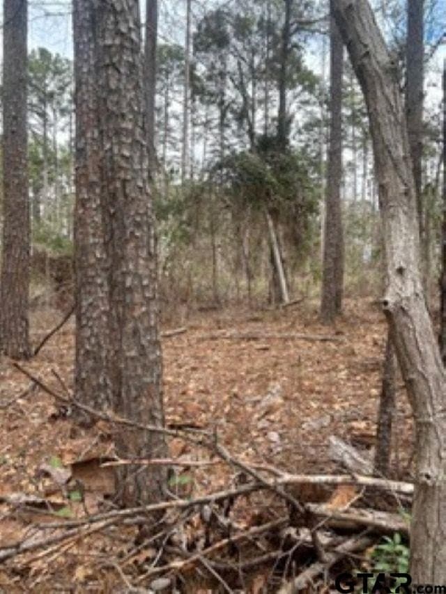 0.27 acres in Smith County - photo 4