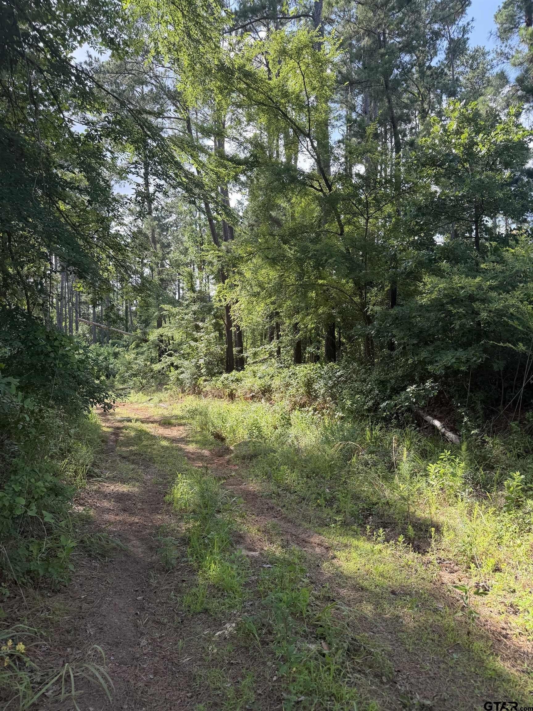 0.27 acres in Smith County gallery image 4